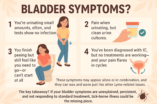 bladder-symptoms