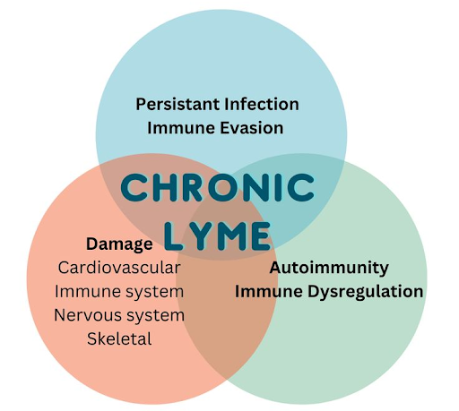 chronic-lyme