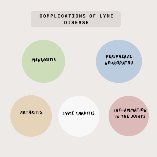 complications-of-lyme-disease