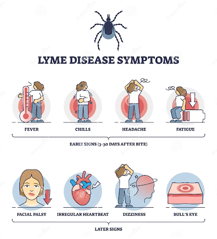 early-detection-of-lyme-illnes.png