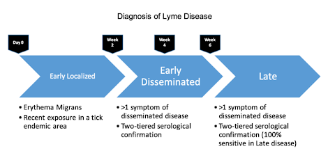 Early Diagnosis