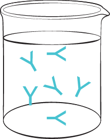 ELISA-Test