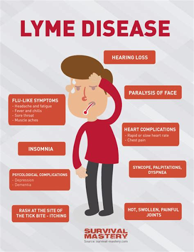 Flu-like Symptoms Relate to Lyme Disease.png