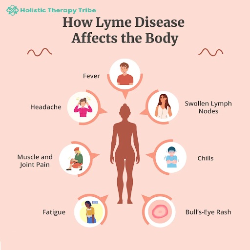 how lyme affect.jpg