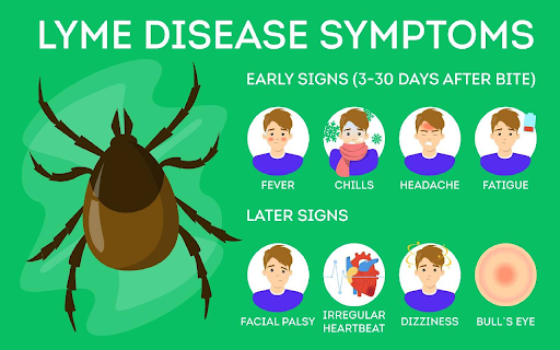 Initial Symptoms of Lyme Illness.png