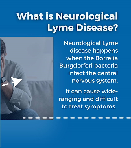 Lyme Disease Affects the Nervous System.png