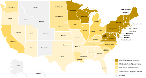 Lyme Disease Areas