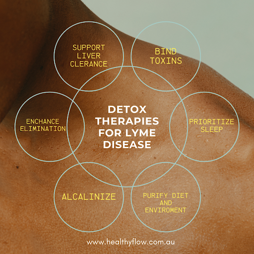 lyme-disease-detox-therapies