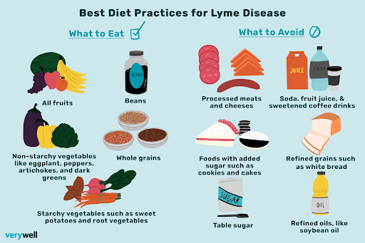 lyme-disease-diet-practices