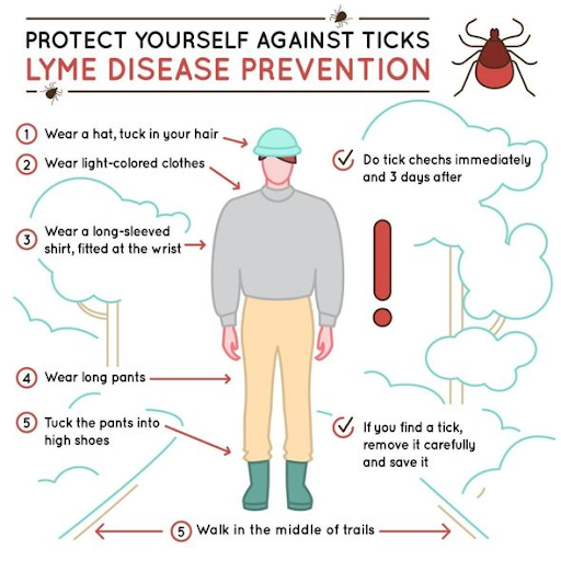 Lyme Disease Prevention