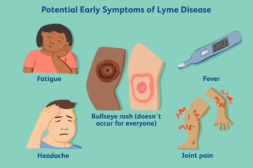 Signs and Symptoms of Lyme Disease