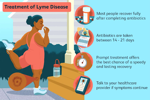 lyme-disease-treatment-options