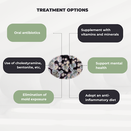 mold-and-lyme-connection-treatment-options