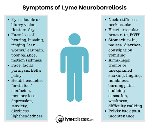 Neurological Lyme Disease Symptoms.png