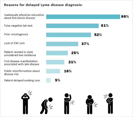 Misdiagnosis of Tick-Borne Illnesses Be Prevented.png