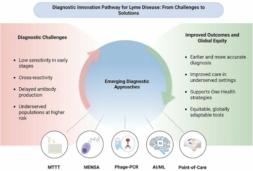 Testing Limitations Contribute to Lyme Misdiagnosis.png