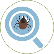 Tick Check