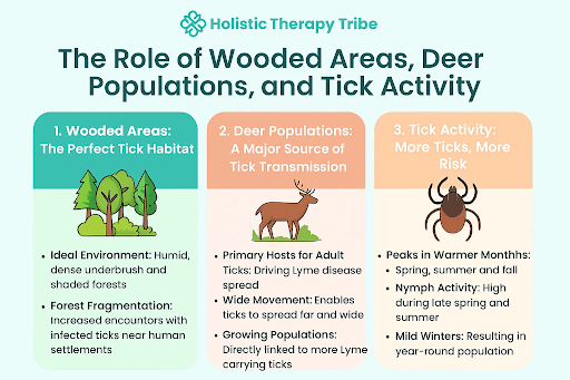 Tick Activity