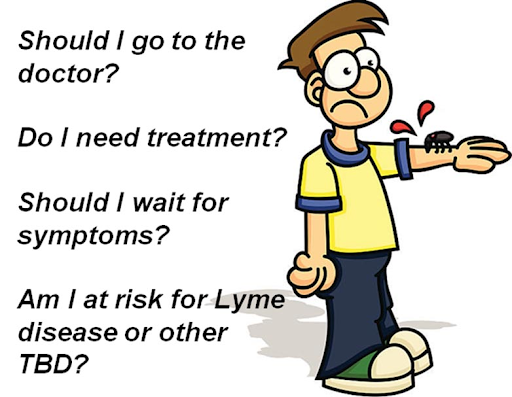 tick bites