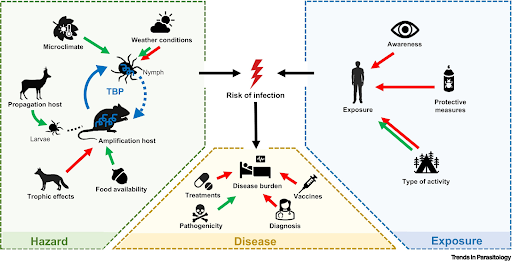 bacterial infection