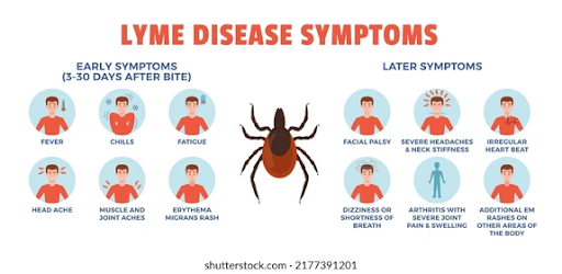 Lyme disease
