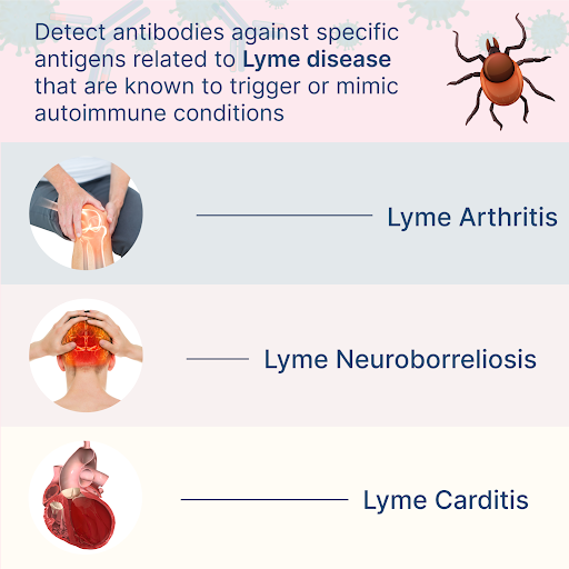 Autoimmune 