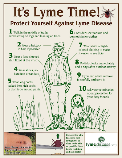 Lyme 