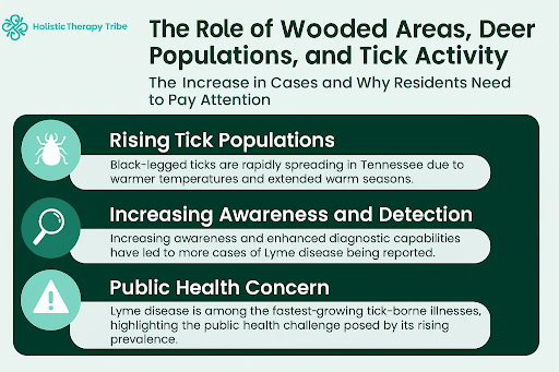 wooded areas