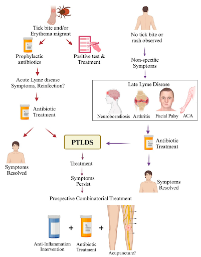 treatments 