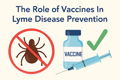 Role of Vaccines