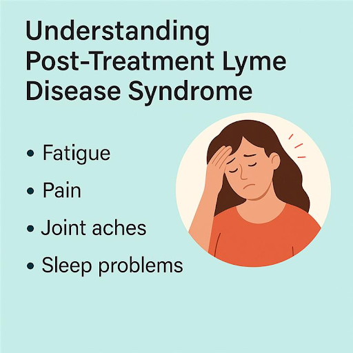 Treatment Lyme