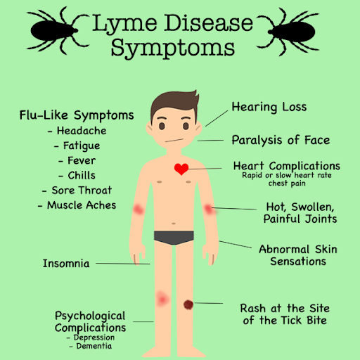 long-term effects