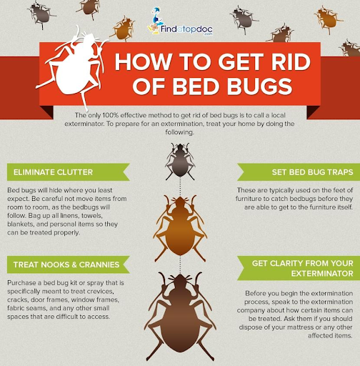 BedBugs