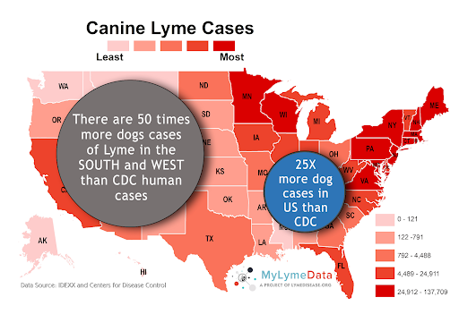 certain pets more prone
