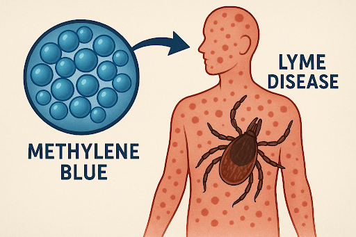 Lyme Methylene