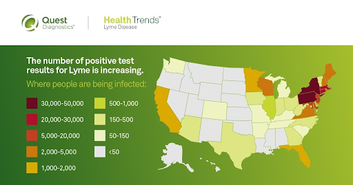 Geographical Hotspots of Lyme Disease: High-Risk Areas & Prevention Tips