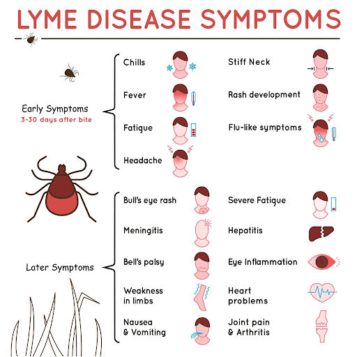 symptoms